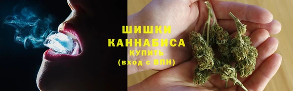дурь Горняк